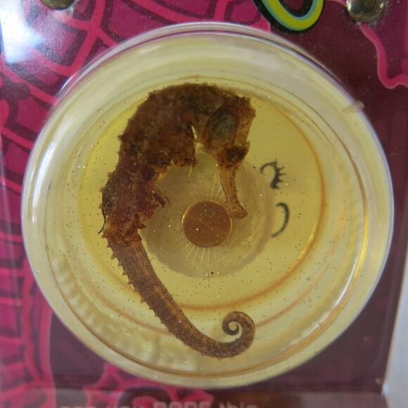 Vintage Sea Rider Yo-Yo *NEW* Small Minds Press 1998 Toy Collectible Made in USA - Picture 7 of 7